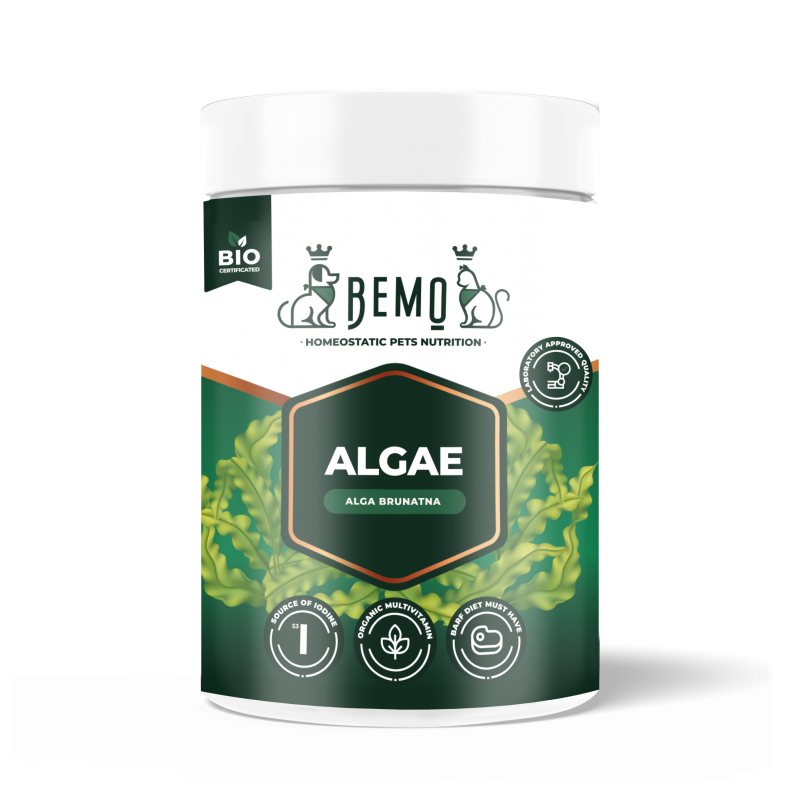Bemo Algae - alga brunatna dla psa i kota Bemo Algae - alga brunatna dla psa i kota