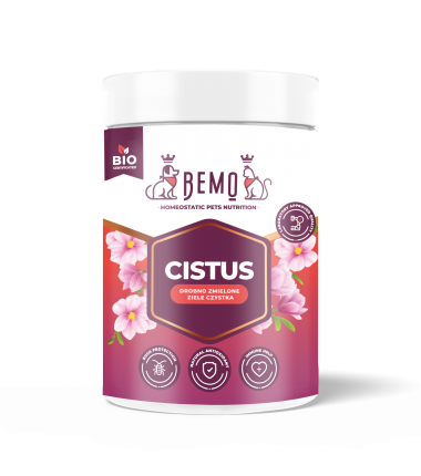 Bemo Cistus - czystek dla psa i kota